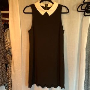 Monteau collard dress with scalloped hem